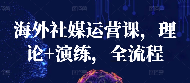 海外社媒运营课，理论+演练，全流程-<a href=