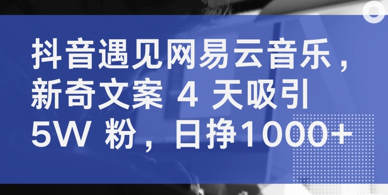抖音遇见网易云音乐，新奇文案 4 天吸引 5W 粉，日挣1000+-<a href=