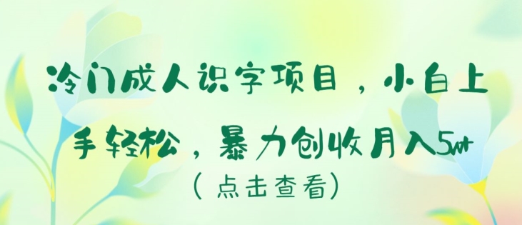 冷门成人识字项目，小白上手轻松，暴力创收月入5w+-<a href=