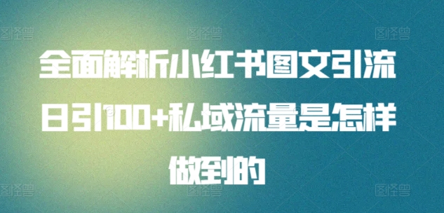 全面解析小红书图文引流日引100+私域流量是怎样做到的-<a href=