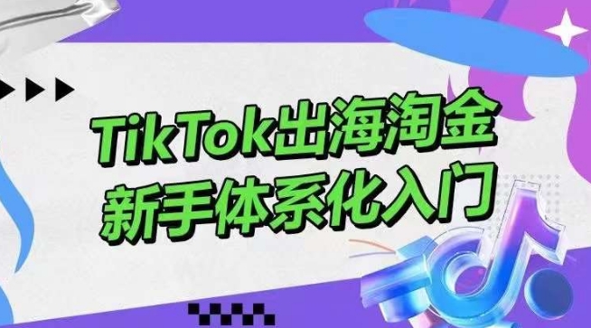 TikTok出海淘金，新手体系化入门，零基础快速入门，掌握短视频、直播带货等引流到变现的知识-<a href=