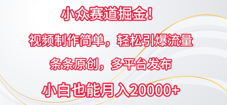 小众赛道掘金，视频制作简单，轻松引爆流量，条条原创，多平台发布-<a href=