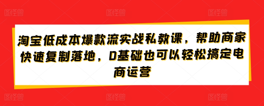 淘宝低成本爆款流实战私教课，帮助商家快速复制落地，0基础也可以轻松搞定电商运营-<a href=