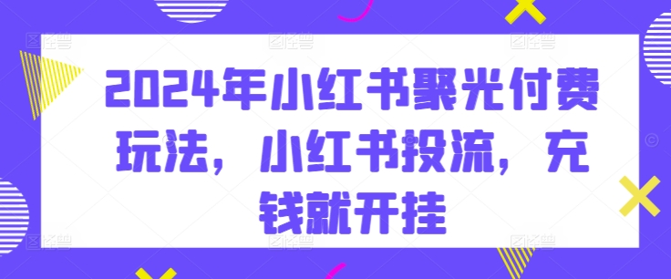 2024年小红书聚光付费玩法，小红书投流，充钱就开挂-<a href=