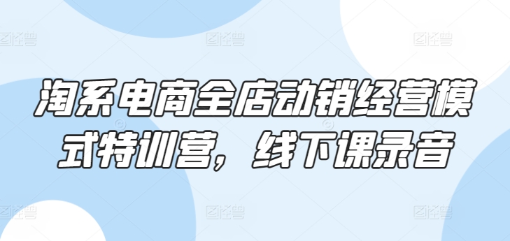 淘系电商全店动销经营模式特训营，线下课录音-<a href=
