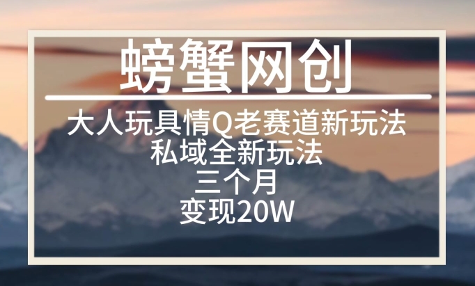 大人玩具情Q用品赛道私域全新玩法，三个月变现20W，老项目新思路-<a href=