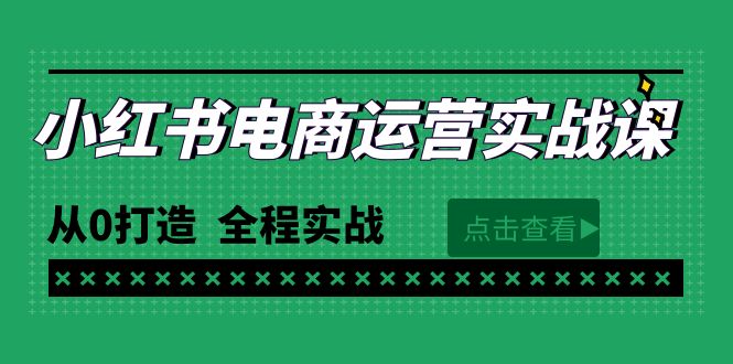 （9946期）最新小红书·电商运营实战课，从0打造  全程实战（65节视频课）-<a href=