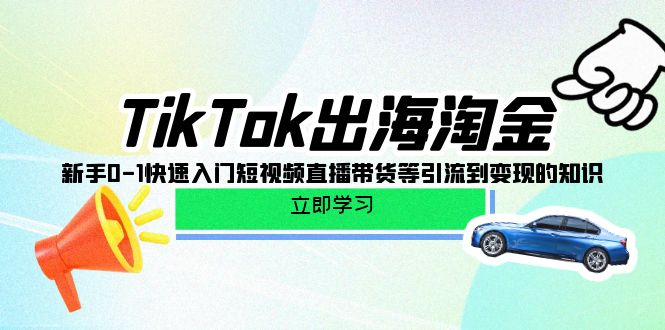（10035期）TikTok-出海淘金，新手0-1快速入门短视频直播带货等引流到变现的知识-<a href=