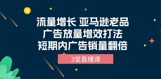 （10112期）流量增长 亚马逊老品广告放量增效打法，短期内广告销量翻倍（3堂直播课）-<a href=