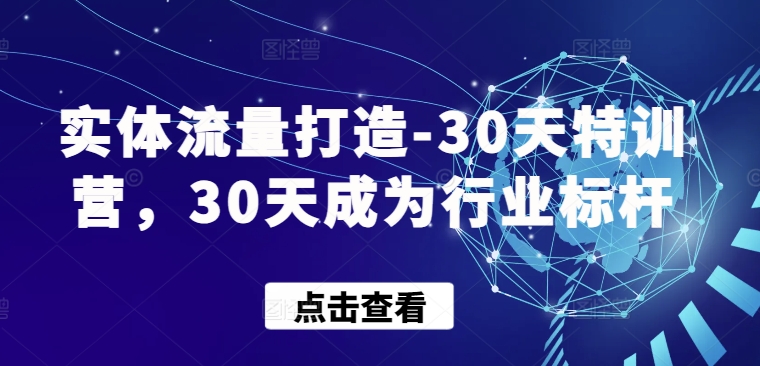 实体流量打造-30天特训营，30天成为行业标杆-<a href=