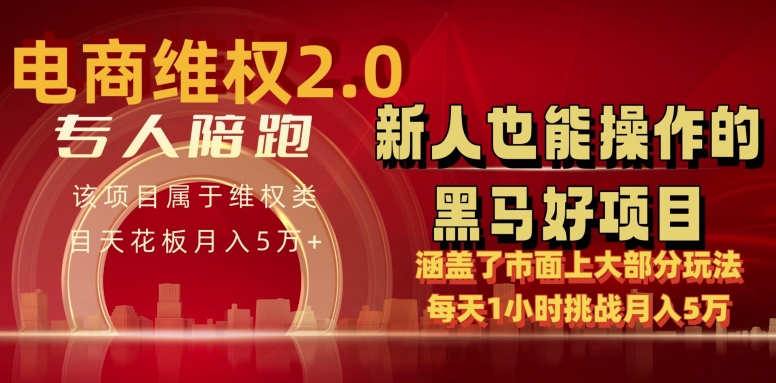 电商维权 4.0 如何做到月入 5 万+每天 1 小时新人也能快速上手【仅揭秘】-<a href=