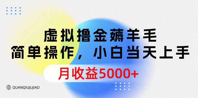 （9864期）虚拟撸金薅羊毛，简单操作，小白当天上手，月收益5000+-<a href=
