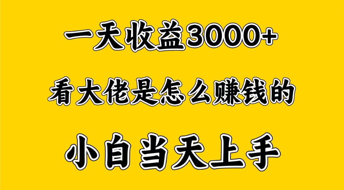 一天赚3000多，大佬是这样赚到钱的，小白当天上手，穷人翻身项目-<a href=