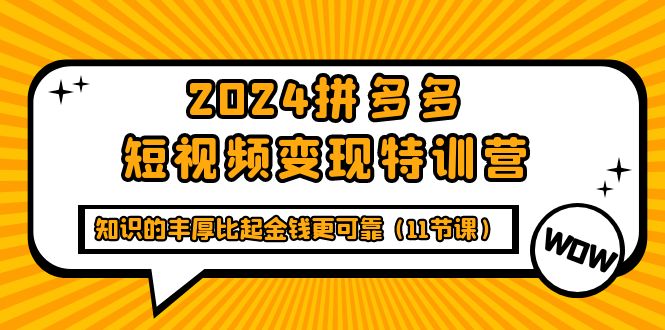 （9817期）2024拼多多短视频变现特训营，知识的丰厚比起金钱更可靠（11节课）-<a href=