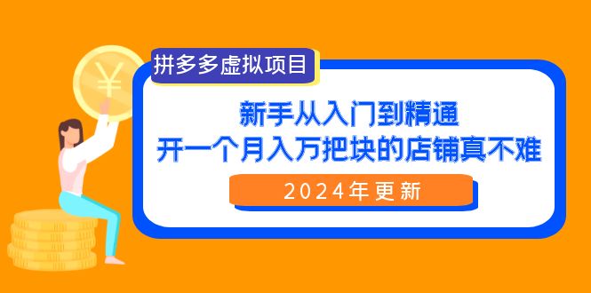 （9744期）拼多多虚拟项目：入门到精通，开一个月入万把块的店铺 真不难（24年更新）-<a href=