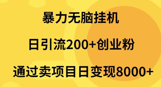 （9788期）暴力无脑挂机日引流200+创业粉通过卖项目日变现2000+-<a href=