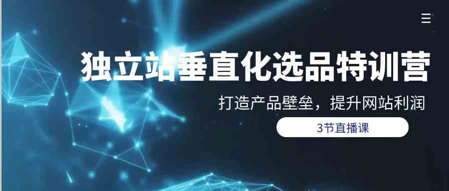 独立站垂直化选品训练营，打造产品壁垒，提升网站利润（3节直播课）-<a href=