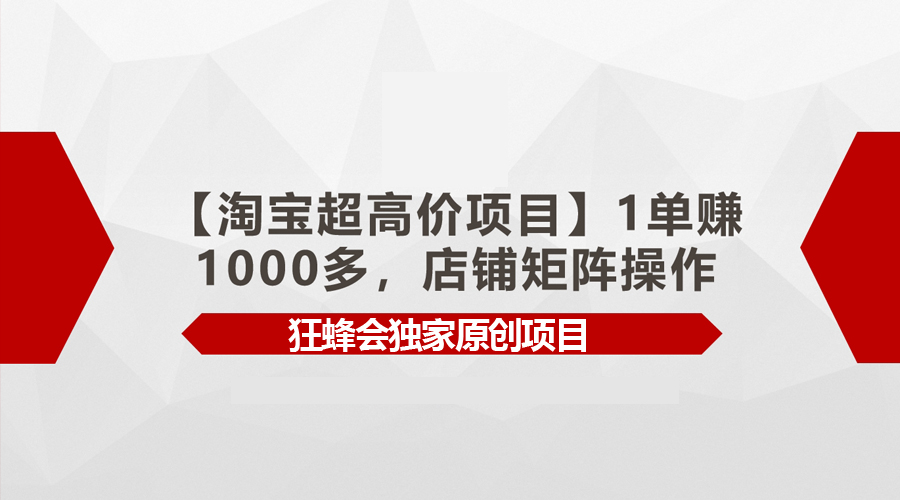 （9849期）【淘宝超高价项目】1单赚1000多，店铺矩阵操作-<a href=
