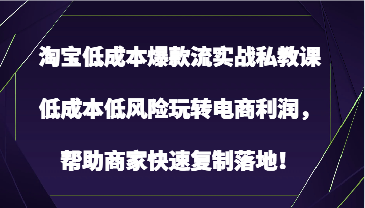 淘宝低成本爆款流实战私教课，低成本低风险玩转电商利润，帮助商家快速复制落地！-<a href=