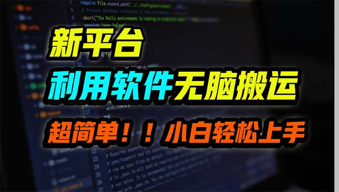 （9745期）新平台用软件无脑搬运，月赚10000+，小白也能轻松上手-<a href=