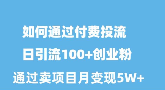 （10189期）如何通过付费投流日引流100+创业粉月变现5W+-<a href=