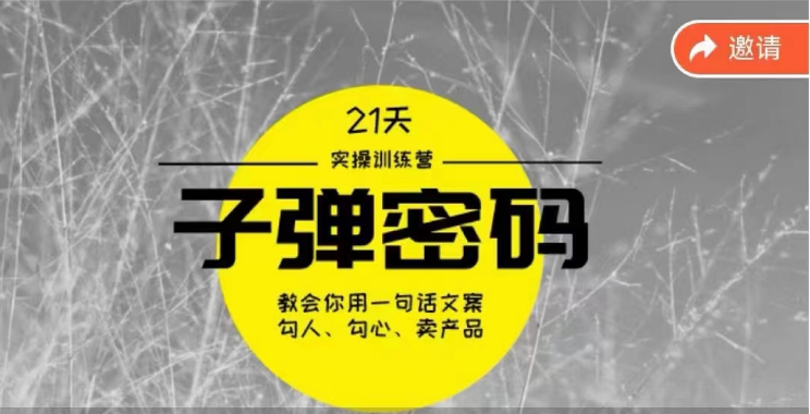 《子弹密码训练营》用一句话文案勾人勾心卖产品，21天学到顶尖文案大师策略和技巧-<a href=