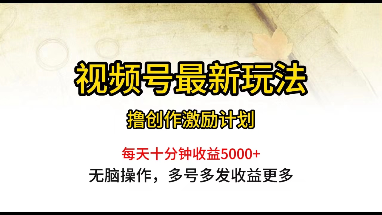 （10087期）视频号最新玩法，每日一小时月入5000+-<a href=