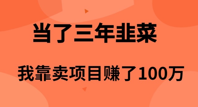 （10149期）当了3年韭菜，我靠卖项目赚了100万-<a href=