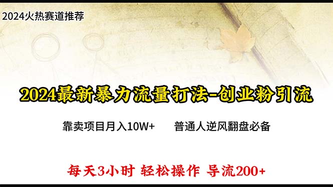 （10151期）2024年最新暴力流量打法，每日导入300+，靠卖项目月入10W+-<a href=