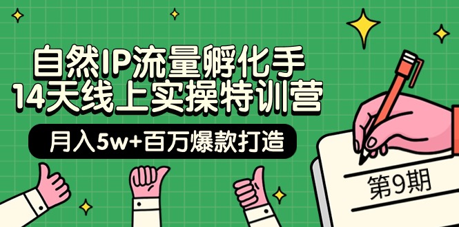 （9881期）自然IP流量孵化手 14天线上实操特训营【第9期】月入5w+百万爆款打造 (74节)-<a href=