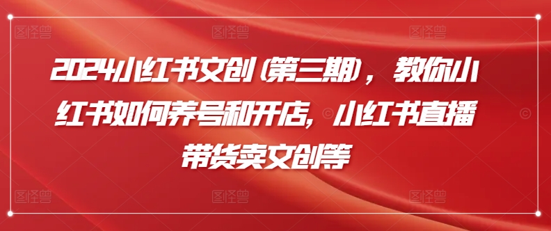 2024小红书文创(第三期)，教你小红书如何养号和开店，小红书直播带货卖文创等-<a href=