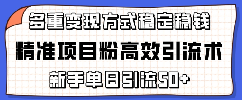 精准项目粉高效引流术，新手单日引流50+，多重变现方式稳定赚钱-<a href=