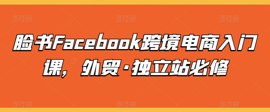脸书Facebook跨境电商入门课，外贸·独立站必修-<a href=