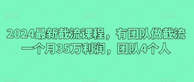 2024最新截流课程，有团队做截流一个月35万利润，团队4个人-<a href=