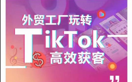 外贸工厂玩转TikTok高效获客，多种引流方式与账号定位技巧，拆解爆款短视频打造成功案例-<a href=