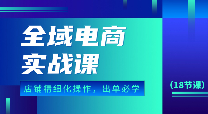 全域电商实战课，个人店铺精细化操作流程，出单必学内容（18节课）-<a href=