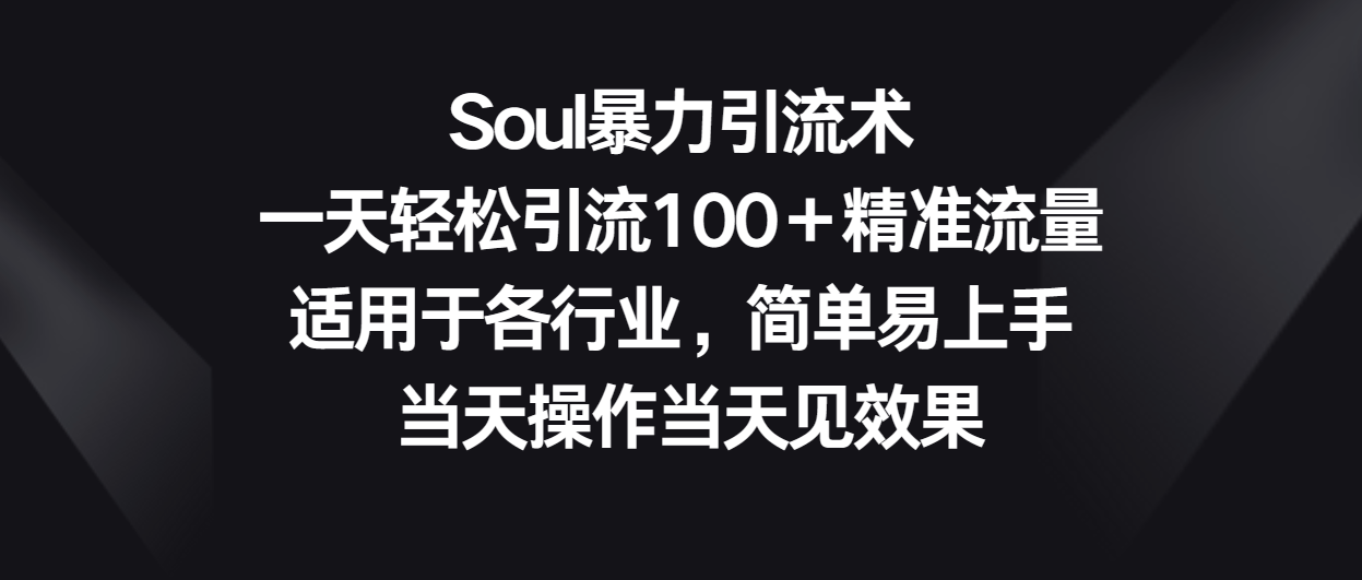 Soul暴力引流术，一天轻松引流100＋精准流量，适用于各行业，简单易上手！-<a href=