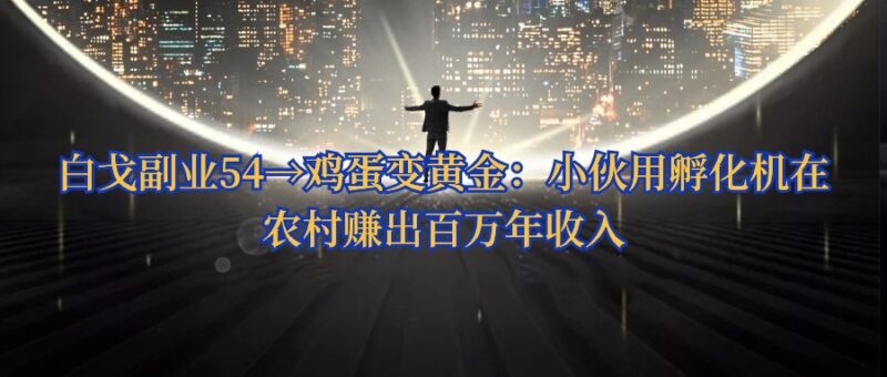 白戈副业54→鸡蛋变黄金：小伙用孵化机在农村赚出百万年收入-白戈学堂