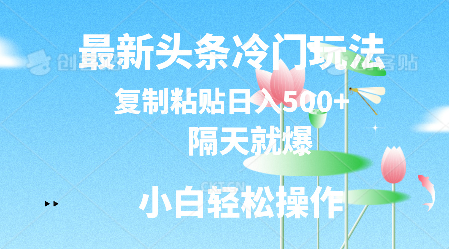 （11414期）最新头条冷门玩法，隔天就爆，复制粘贴日入500+-<a href=