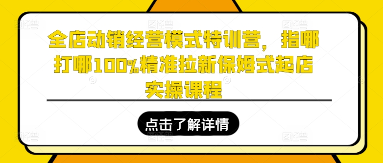 全店动销经营模式特训营，指哪打哪100%精准拉新保姆式起店实操课程-<a href=