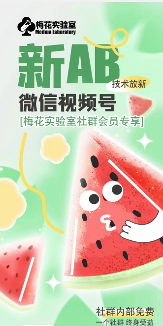 梅花实验室2024年AB技术视频号AB合成破解版-<a href=