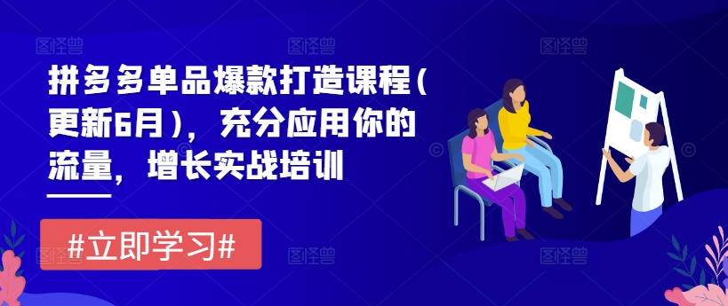 拼多多单品爆款打造课程(更新6月)，充分应用你的流量，增长实战培训-<a href=