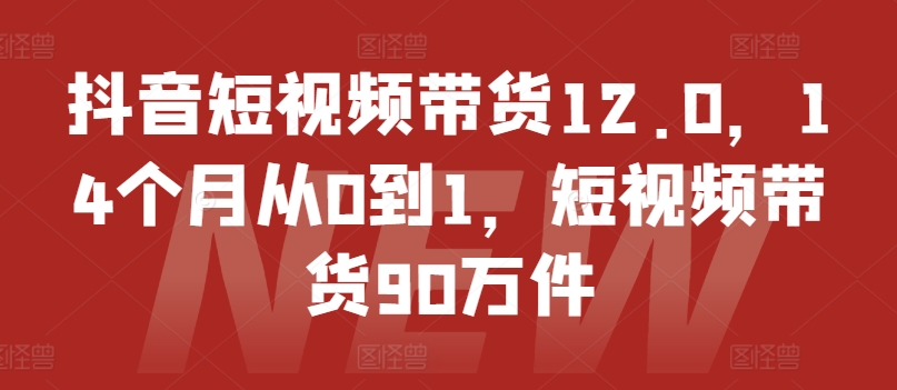 抖音短视频带货12.0，14个月从0到1，短视频带货90万件-<a href=