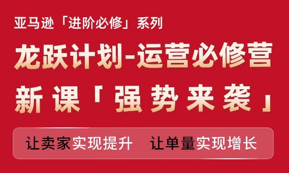 亚马逊进阶必修系列，龙跃计划-运营必修营新课，让卖家实现提升 让单量实现增长-<a href=