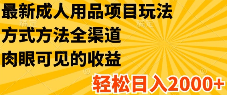 最新成人用品项目玩法，方式方法全渠道，轻松日入2K+-<a href=