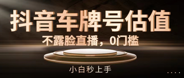 抖音车牌号估值，不露脸直播，0门槛，小白秒上手-<a href=