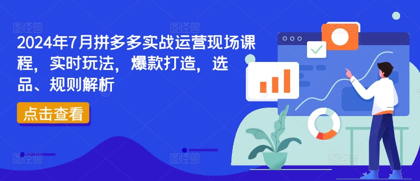 2024年7月拼多多实战运营现场课程，实时玩法，爆款打造，选品、规则解析-<a href=