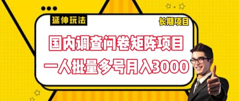 国内调查问卷矩阵项目，一人批量多号月入3000-<a href=