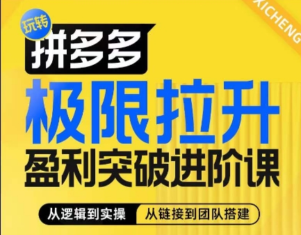 拼多多极限拉升盈利突破进阶课，​从算法到玩法，从玩法到团队搭建，体系化系统性帮助商家实现利润提升-<a href=
