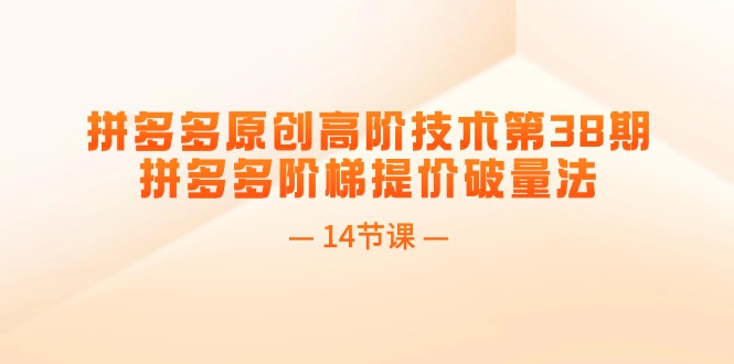 （11704期）拼多多原创高阶技术第38期，拼多多阶梯提价破量法（14节课）-<a href=
